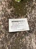 須賀神社(羽黒新田)(愛知県)