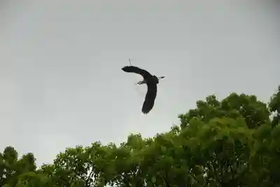 上領八幡宮(山口県)