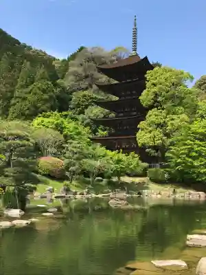 瑠璃光寺の{uncategorized: "未分類", other: "その他", undefined: "問題あり", building: "その他建物", grave: "お墓", sacred_gate: "鳥居", guardian: "狛犬", statue: "像", buddha: "仏像", history: "歴史", nature: "自然", garden: "庭園", animal: "動物", pagoda: "塔", temizu: "手水舎", mountain_gate: "山門・神門", sanctuary: "本殿・本堂", subordinate: "末社・摂社", art: "芸術", scenery: "景色", jizo: "地蔵", ema: "絵馬", goshuin: "御朱印", omikuji: "おみくじ", items: "授与品その他", amulet: "お守り", goshuincho: "御朱印帳", eats: "食事", festival: "お祭り", votive_dance: "神楽", shichigosan: "七五三参", wedding: "結婚式", experience: "体験その他", initially: "初詣", around: "周辺", anti_infection: "感染症対策"}