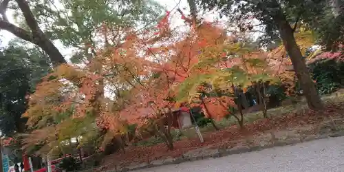 賀茂御祖神社（下鴨神社）(京都府)