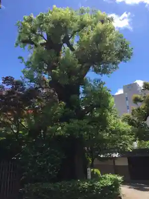 白林禅寺、白林寺の自然