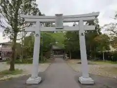 杵築神社の鳥居