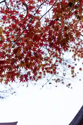 宗像大社(福岡県)