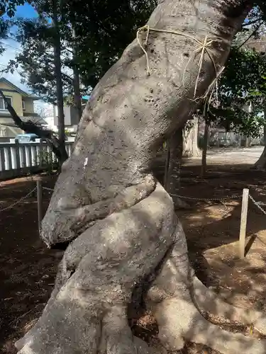 星影神社(千葉県)