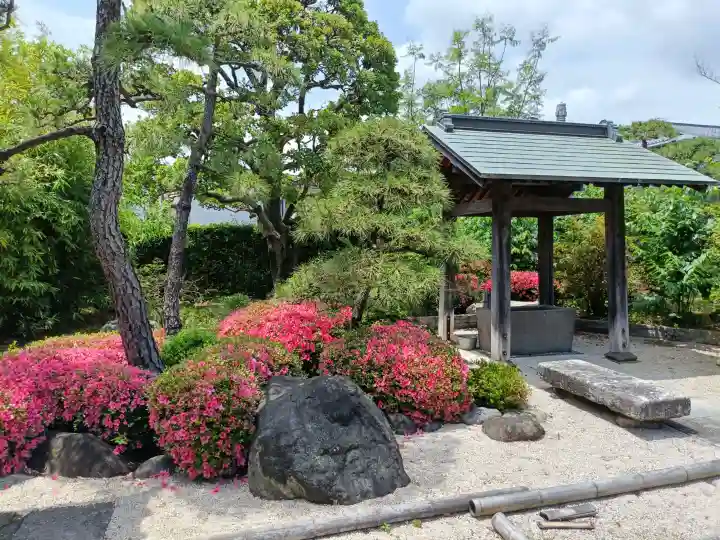 蓮花寺の{uncategorized: "未分類", other: "その他", undefined: "問題あり", building: "その他建物", grave: "お墓", sacred_gate: "鳥居", guardian: "狛犬", statue: "像", buddha: "仏像", history: "歴史", nature: "自然", garden: "庭園", animal: "動物", pagoda: "塔", temizu: "手水舎", mountain_gate: "山門・神門", sanctuary: "本殿・本堂", subordinate: "末社・摂社", art: "芸術", scenery: "景色", jizo: "地蔵", ema: "絵馬", goshuin: "御朱印", omikuji: "おみくじ", items: "授与品その他", amulet: "お守り", goshuincho: "御朱印帳", eats: "食事", festival: "お祭り", votive_dance: "神楽", shichigosan: "七五三参", wedding: "結婚式", experience: "体験その他", initially: "初詣", around: "周辺", anti_infection: "感染症対策"}