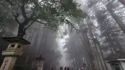三峯神社(埼玉県)
