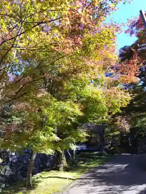 浄蓮華院(京都府)