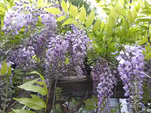 稲荷神社(福井県)