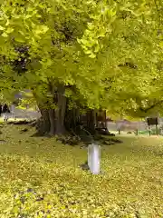 銀杏三寶大荒神(長野県)