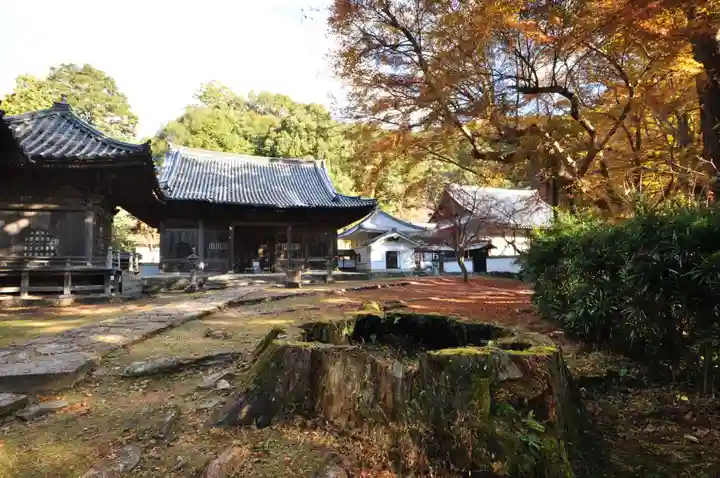 如法寺(愛媛県)