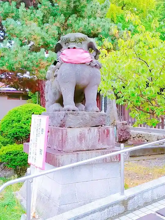 札幌護國神社の狛犬
