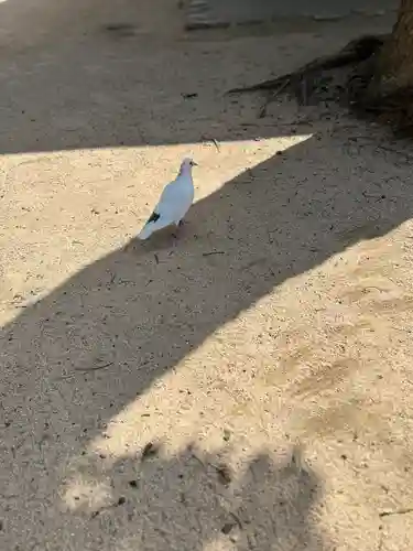 長田神社(兵庫県)