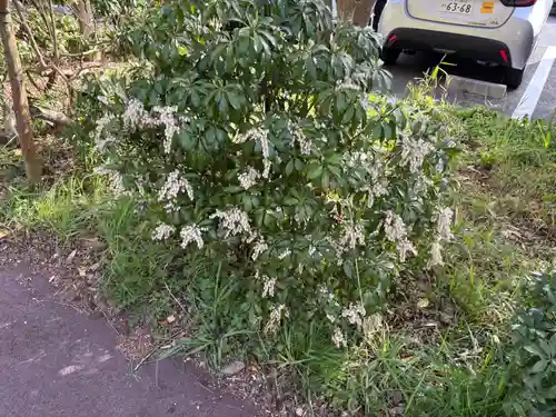 忉利天上寺(兵庫県)