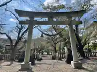 天鷹神社(岐阜県)
