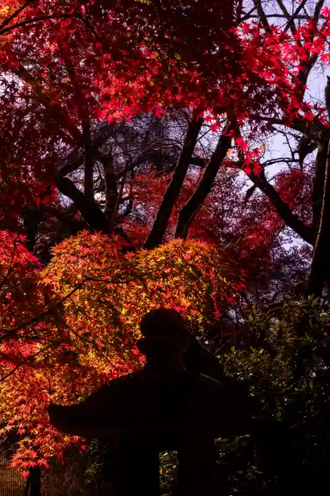 宇治上神社(京都府)