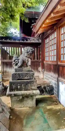 神明社・八幡社合殿（中杉町）の狛犬