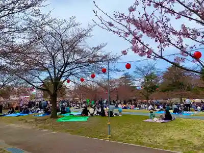 櫻岡大神宮のお祭り