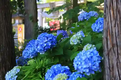 隠津島神社の庭園