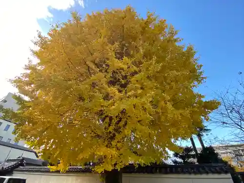 本法寺(京都府)