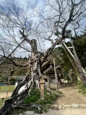 神魂伊能知奴志神社の{uncategorized: "未分類", other: "その他", undefined: "問題あり", building: "その他建物", grave: "お墓", sacred_gate: "鳥居", guardian: "狛犬", statue: "像", buddha: "仏像", history: "歴史", nature: "自然", garden: "庭園", animal: "動物", pagoda: "塔", temizu: "手水舎", mountain_gate: "山門・神門", sanctuary: "本殿・本堂", subordinate: "末社・摂社", art: "芸術", scenery: "景色", jizo: "地蔵", ema: "絵馬", goshuin: "御朱印", omikuji: "おみくじ", items: "授与品その他", amulet: "お守り", goshuincho: "御朱印帳", eats: "食事", festival: "お祭り", votive_dance: "神楽", shichigosan: "七五三参", wedding: "結婚式", experience: "体験その他", initially: "初詣", around: "周辺", anti_infection: "感染症対策"}