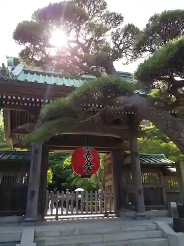 長谷寺の山門・神門