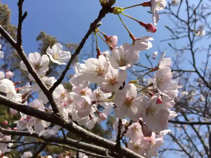 東郷神社(福岡県)