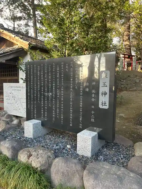 開運招福 飯玉神社(群馬県)