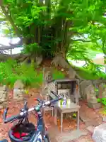 黄金龍神社(桂不動)(北海道)