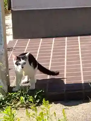 五郎兵衛稲荷神社(茨城県)