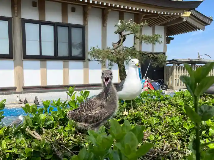 蕪嶋神社(青森県)