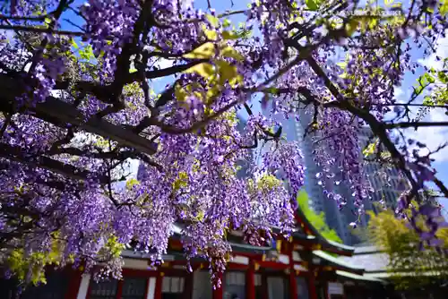 日枝神社(東京都)