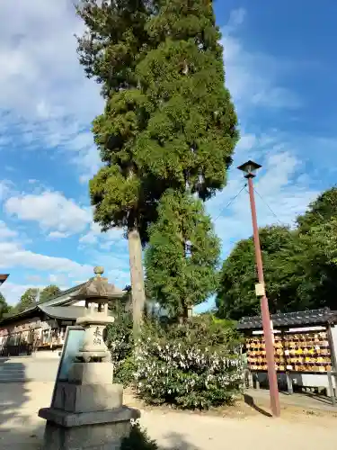 高尾神社の建物その他