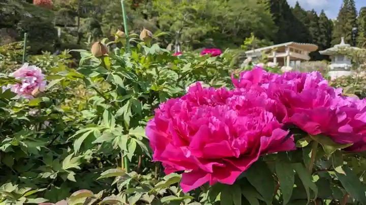 金蛇水神社の自然