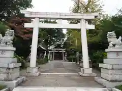 立川熊野神社の鳥居