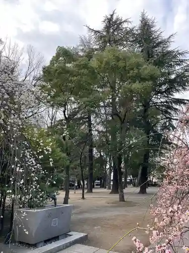 川口神社(埼玉県)