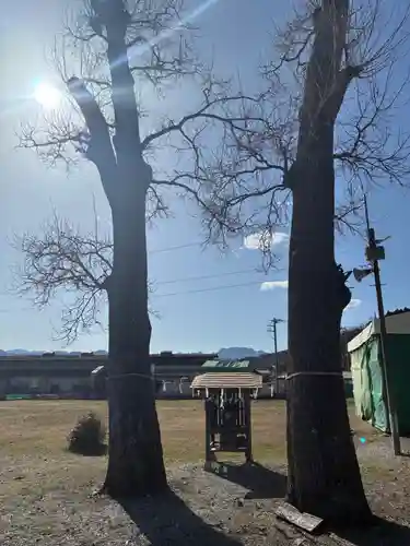 夫婦くぬぎ両神神社（椋神社）(埼玉県)