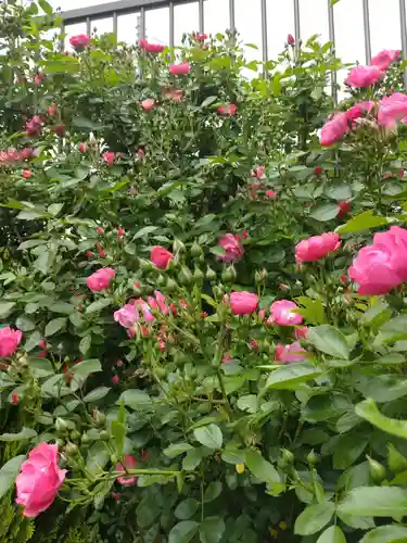 寿量山　速成寺の庭園