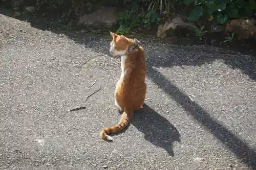 唐澤山神社の動物