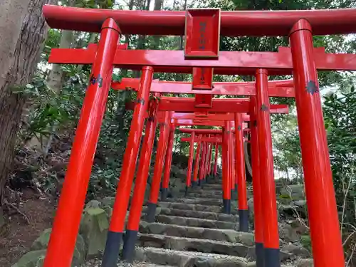 白笹稲荷神社の鳥居