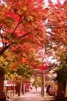 鼻顔稲荷神社(長野県)