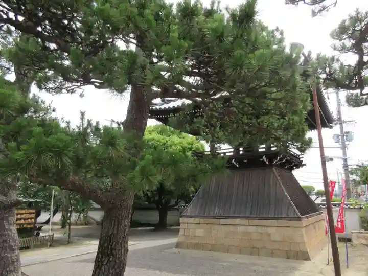 葛井寺(大阪府)