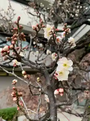 生田神社(兵庫県)