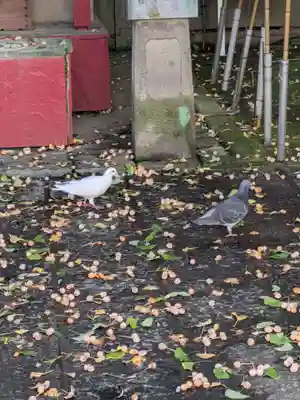 本覚寺(東京都)