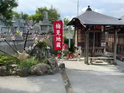 善楽寺(高知県)