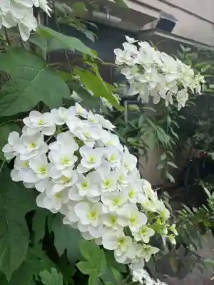 幸國寺(東京都)