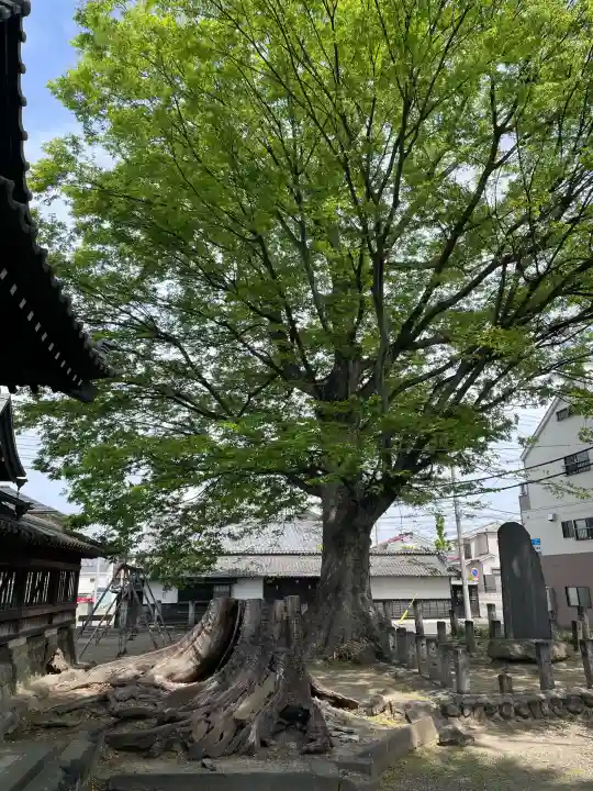 千形神社の{uncategorized: "未分類", other: "その他", undefined: "問題あり", building: "その他建物", grave: "お墓", sacred_gate: "鳥居", guardian: "狛犬", statue: "像", buddha: "仏像", history: "歴史", nature: "自然", garden: "庭園", animal: "動物", pagoda: "塔", temizu: "手水舎", mountain_gate: "山門・神門", sanctuary: "本殿・本堂", subordinate: "末社・摂社", art: "芸術", scenery: "景色", jizo: "地蔵", ema: "絵馬", goshuin: "御朱印", omikuji: "おみくじ", items: "授与品その他", amulet: "お守り", goshuincho: "御朱印帳", eats: "食事", festival: "お祭り", votive_dance: "神楽", shichigosan: "七五三参", wedding: "結婚式", experience: "体験その他", initially: "初詣", around: "周辺", anti_infection: "感染症対策"}