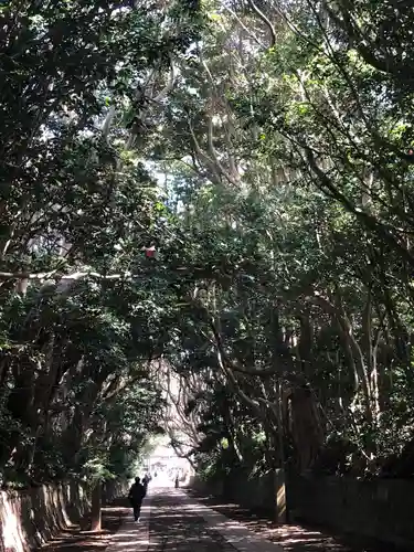 酒列磯前神社の自然