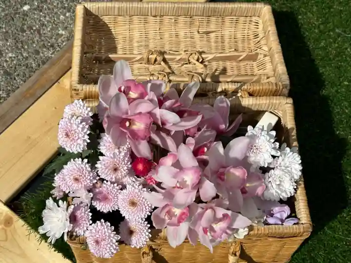 徳島眉山天神社(徳島県)