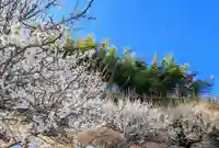 金蛇水神社(宮城県)