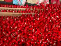 宝厳寺(滋賀県)